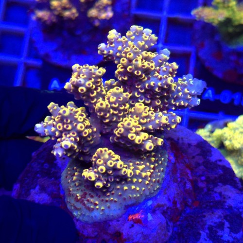 WhatsApp Image 2026-04-16 at 18.52.20 (4).jpeg