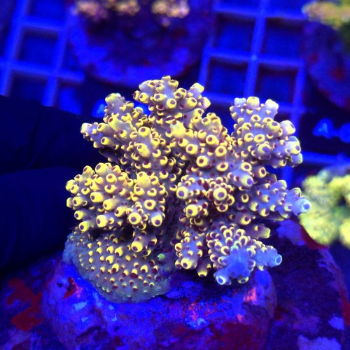 WhatsApp Image 2026-04-16 at 18.52.21.jpeg