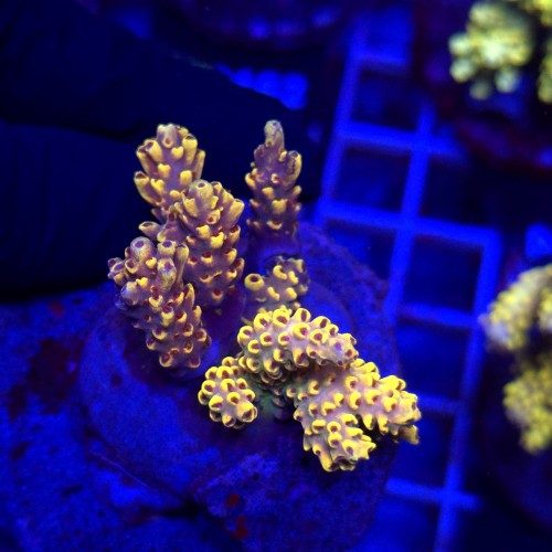 WhatsApp Image 2026-04-16 at 18.52.22 (2).jpeg