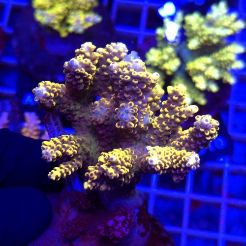 WhatsApp Image 2026-04-16 at 18.52.22 (4).jpeg