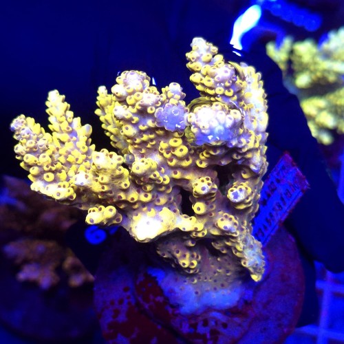 WhatsApp Image 2026-04-16 at 18.52.22 (6).jpeg