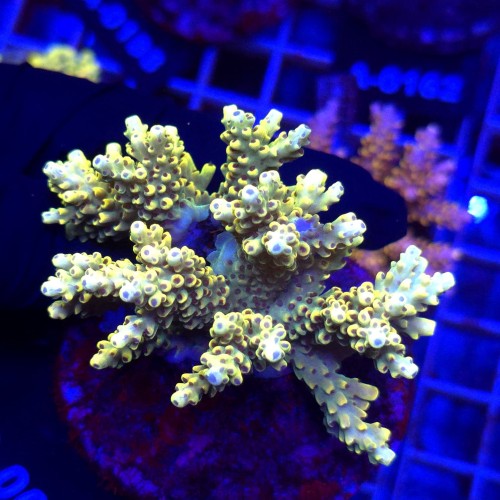 WhatsApp Image 2026-04-16 at 18.52.23 (2).jpeg