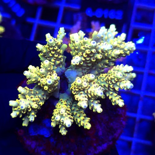 WhatsApp Image 2026-04-16 at 18.52.23.jpeg