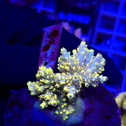 WhatsApp Image 2026-04-16 at 18.52.23 (4).jpeg