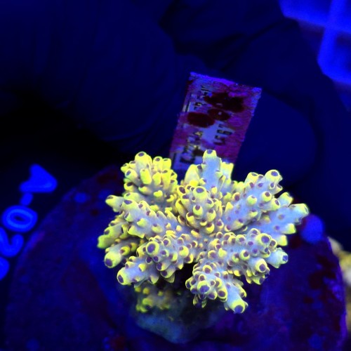 WhatsApp Image 2026-04-16 at 18.52.23 (5).jpeg