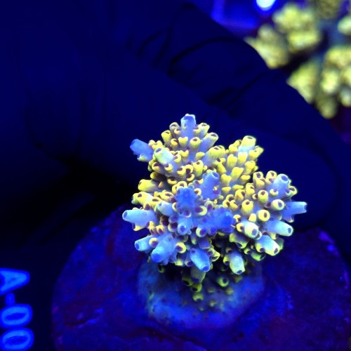 WhatsApp Image 2026-04-16 at 18.52.24 (2).jpeg