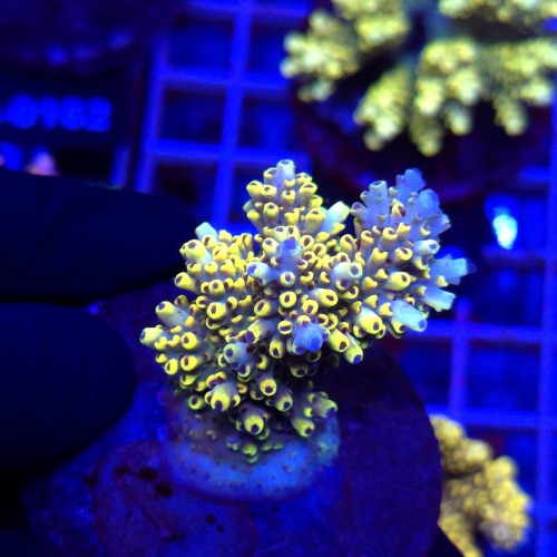 WhatsApp Image 2026-04-16 at 18.52.24.jpeg