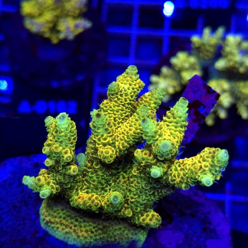 WhatsApp Image 2026-04-16 at 18.52.24 (4).jpeg