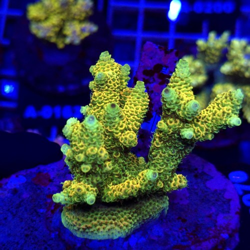 WhatsApp Image 2026-04-16 at 18.52.24 (5).jpeg