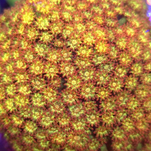 WhatsApp Image 2026-04-18 at 11.34.00 (3).jpeg