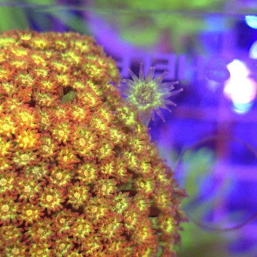 WhatsApp Image 2026-04-18 at 11.34.00 (4).jpeg