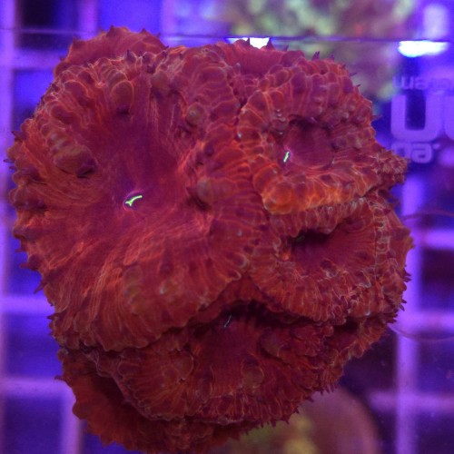 WhatsApp Image 2026-04-18 at 11.34.12.jpeg