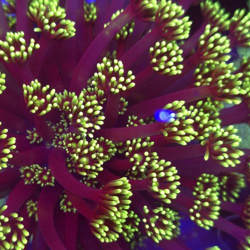 WhatsApp Image 2026-04-18 at 11.34.14 (5).jpeg