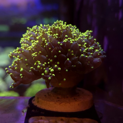 WhatsApp Image 2026-04-20 at 19.25.41 (7).jpeg