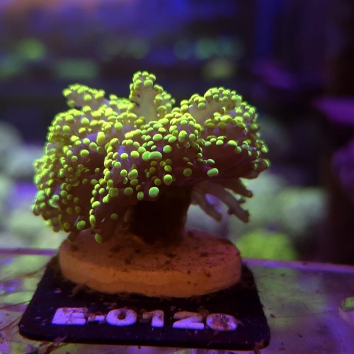 WhatsApp Image 2026-04-20 at 19.25.42.jpeg