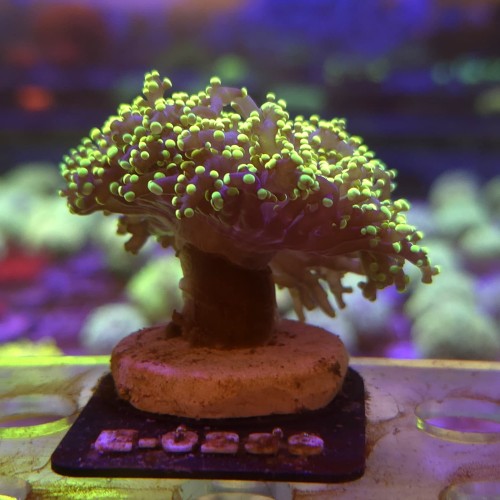 WhatsApp Image 2026-04-20 at 19.25.42 (2).jpeg