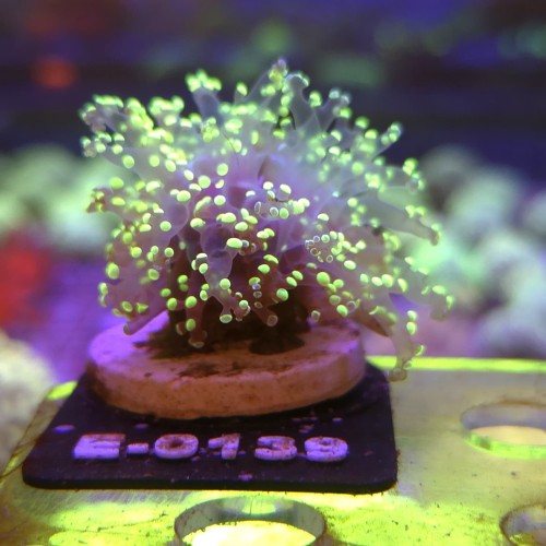 WhatsApp Image 2026-04-20 at 19.25.42 (3).jpeg