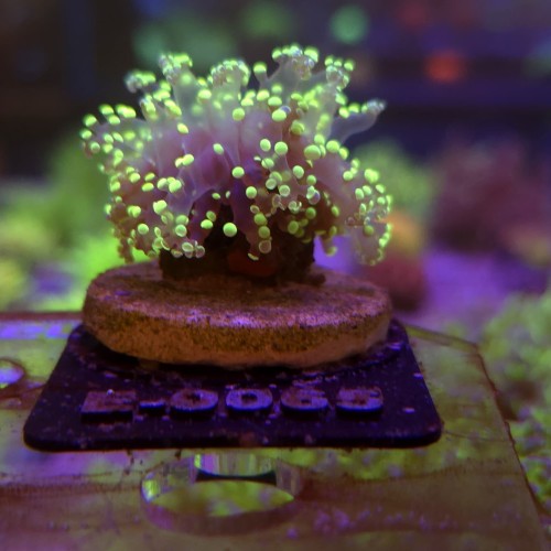 WhatsApp Image 2026-04-20 at 19.25.42 (4).jpeg