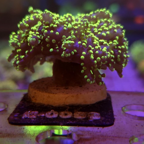 WhatsApp Image 2026-04-20 at 19.25.42 (5).jpeg