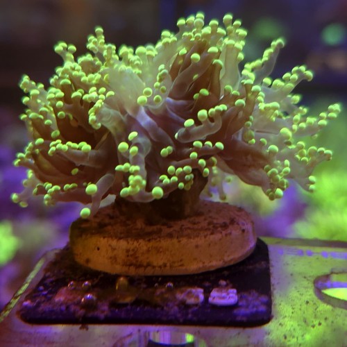 WhatsApp Image 2026-04-20 at 19.25.42 (6).jpeg