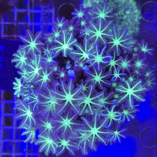 WhatsApp Image 2026-04-22 at 16.45.00 (6).jpeg