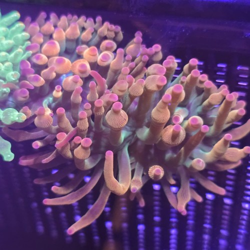 WhatsApp Image 2026-04-22 at 16.45.02 (1).jpeg