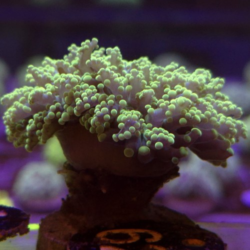 WhatsApp Image 2026-04-28 at 16.11.02 (4).jpeg