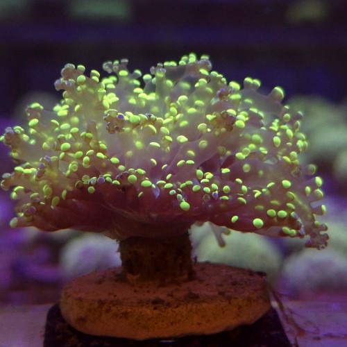 WhatsApp Image 2026-04-28 at 16.11.03.jpeg