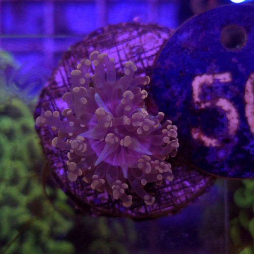 WhatsApp Image 2026-04-28 at 16.10.56.jpeg