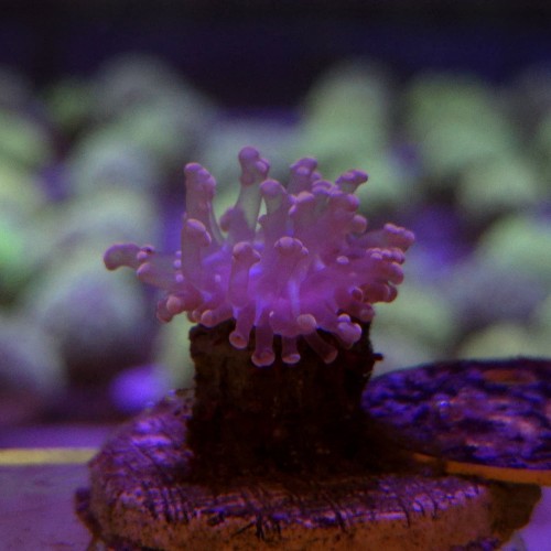 WhatsApp Image 2026-04-28 at 16.11.03 (1).jpeg