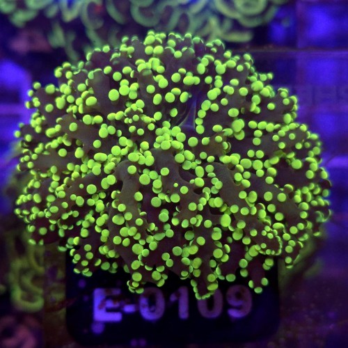 WhatsApp Image 2026-04-28 at 16.10.56 (1).jpeg