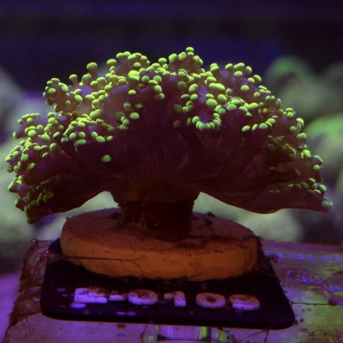 WhatsApp Image 2026-04-28 at 16.11.03 (2).jpeg