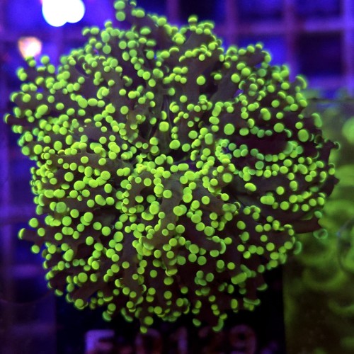 WhatsApp Image 2026-04-28 at 16.10.56 (2).jpeg