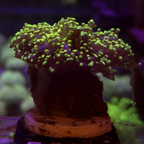 WhatsApp Image 2026-04-28 at 16.11.03 (3).jpeg