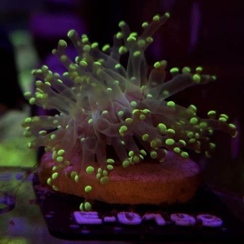 WhatsApp Image 2026-04-28 at 16.11.03 (4).jpeg