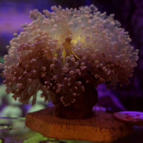 WhatsApp Image 2026-04-28 at 16.40.08 (1).jpeg