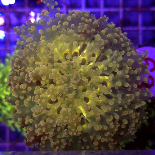 WhatsApp Image 2026-04-28 at 16.40.08.jpeg