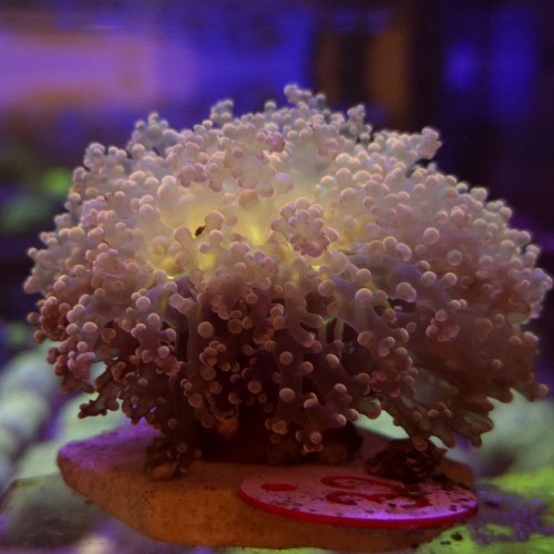 WhatsApp Image 2026-04-28 at 16.40.08 (3).jpeg