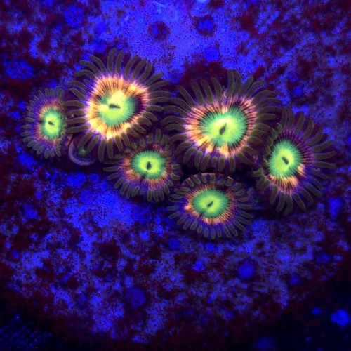 WhatsApp Image 2026-06-06 at 13.27.30 (1).jpeg