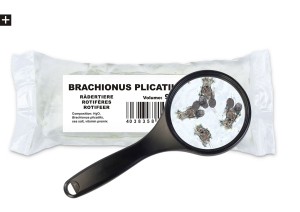 Żywy pokarm Wrotka morska 90 ml – Ichthyo Trophic