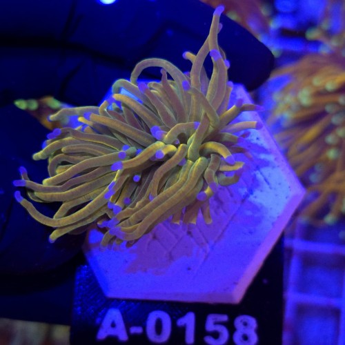 WhatsApp Image 2026-09-04 at 16.29.30 (3).jpeg