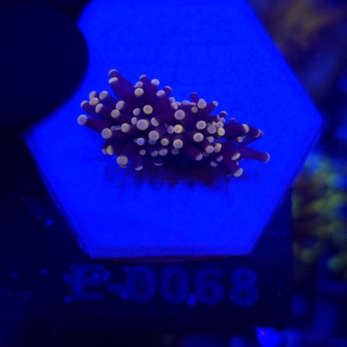 WhatsApp Image 2026-09-18 at 15.10.22.jpeg
