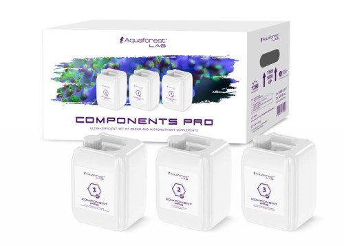 Components-Pro-3x5L-free-ICP-1-PL.jpg