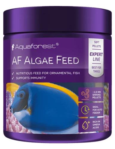 AF-Algae-Feed.webp