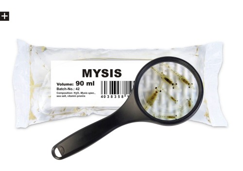 Żywy pokarm Lasonogi Morskie 90 ml – Ichthyo Trophic