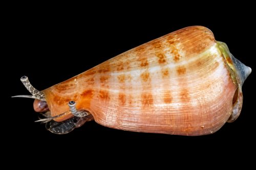 aabf1da1-6a03-43b5-b2e0-56113243e3a6.png
