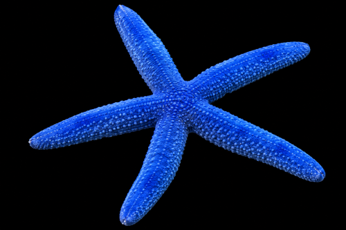 63d1c61f-2605-4413-8038-fed0dcc4a2ec.png