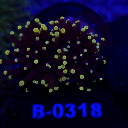 WhatsApp Image 2026-10-13 at 21.34.01 (6).jpeg