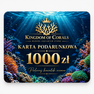 Karta Podarunkowa Kingdom of Corals – 1000 zł 